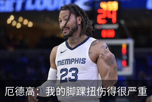 厄德高：我的脚踝扭伤得很严重